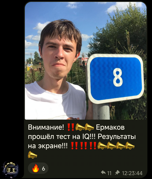 Файл:ErmakovIQ .png