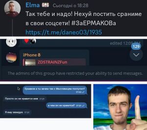 Ermacollage.jpeg
