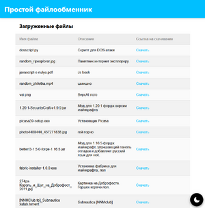 Простой Файлообменник.png
