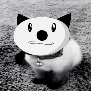 Аватарка из TikTok.png