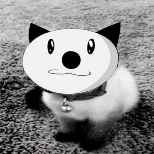Файл:Аватарка из TikTok.png