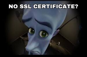 NO SSL CERTIFICATE?