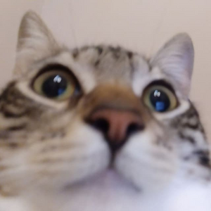 Рудзик.png